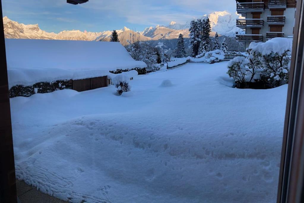 コンブルーLa Marmotte: Vue Mont Blanc, Terrasse, Parkingアパートメント エクステリア 写真